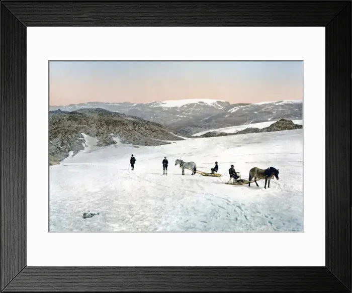Framed Print : Sleighs on the Folgefonna Glacier, Norway, circa 1890s Framed Print : Sleighs on the Folgefonna Glacier, Norway, circa 1890s