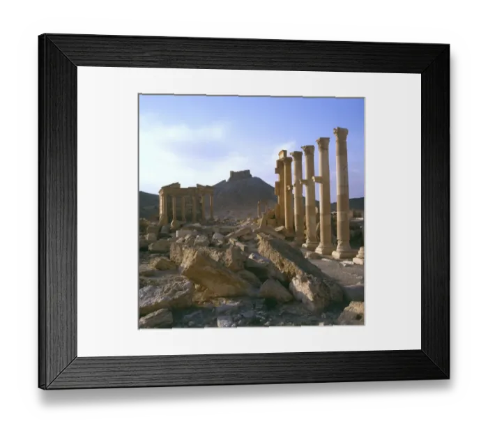 Framed Print : Palmyra, Syria - The Colonnade with view of Arab Castle Framed Print : Palmyra, Syria - The Colonnade with view of Arab Castle