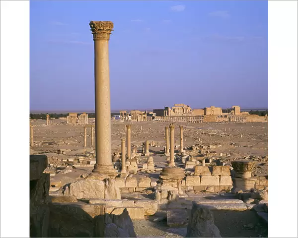 Palmyra, Syria - Coumn and view toward Temple of Bel