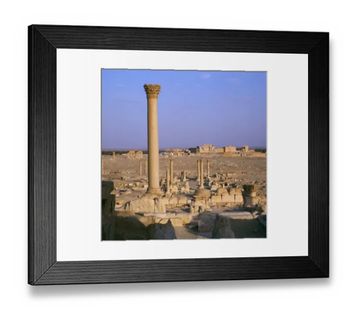 Framed Print : Palmyra, Syria - Coumn and view toward Temple of Bel Framed Print : Palmyra, Syria - Coumn and view toward Temple of Bel