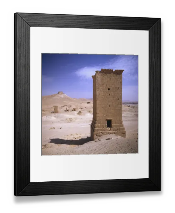 Framed Print : Palmyra, Syria - Valley of Tombs Framed Print : Palmyra, Syria - Valley of Tombs