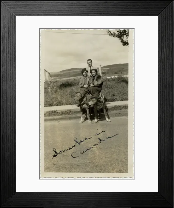 Framed Print : Three people with two dogs in Canada Framed Print : Three people with two dogs in Canada