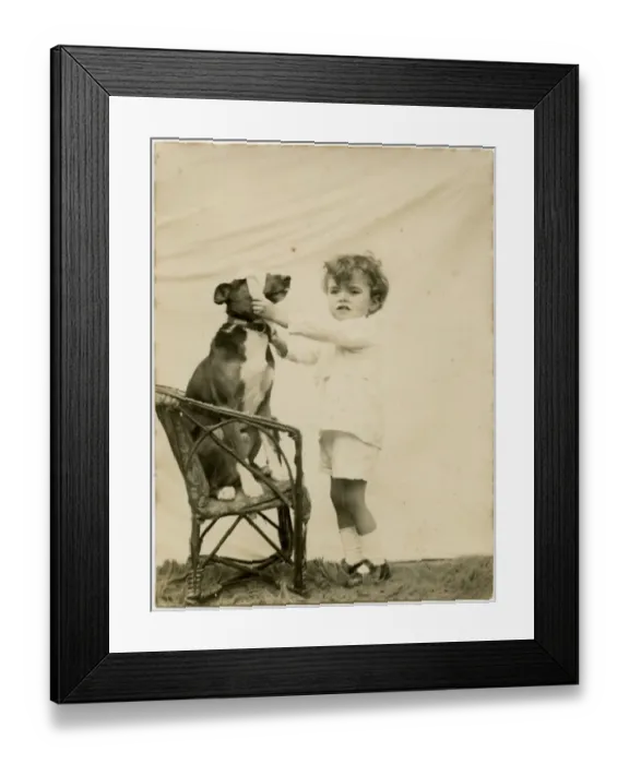 Framed Print : Studio photo, boy putting blindfold on dog Framed Print : Studio photo, boy putting blindfold on dog