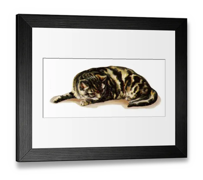Framed Print : Cute tabby cat on a Victorian scrap Framed Print : Cute tabby cat on a Victorian scrap