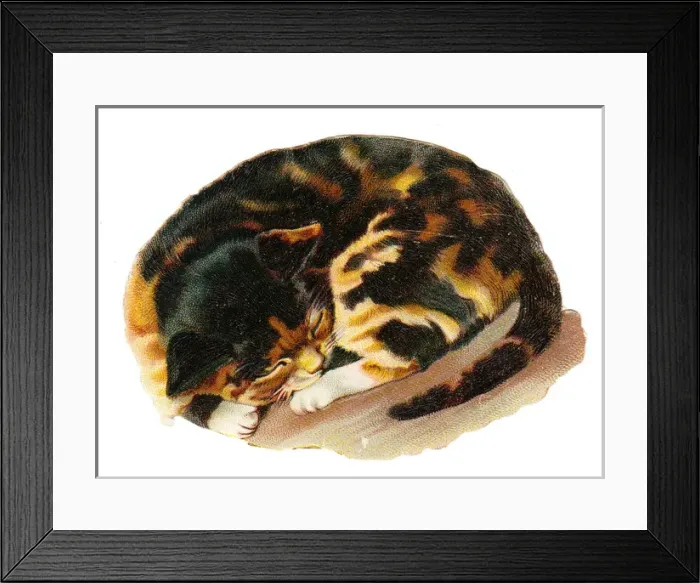 Framed Print : Cute tabby cat on a Victorian scrap Framed Print : Cute tabby cat on a Victorian scrap