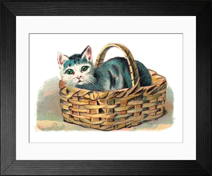 Framed Print : Cat in a basket on a Victorian scrap Framed Print : Cat in a basket on a Victorian scrap
