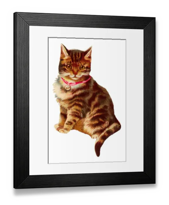 Framed Print : Cute tabby cat on a Victorian scrap Framed Print : Cute tabby cat on a Victorian scrap