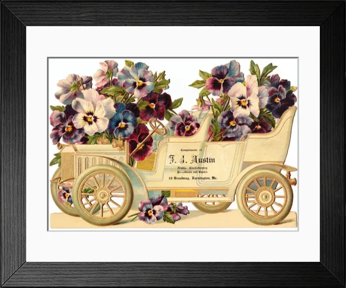 Framed Print : Car full of pansies on an American scrap Framed Print : Car full of pansies on an American scrap