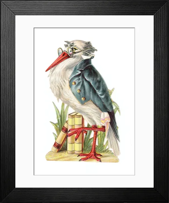 Framed Print : Secretary bird with books on a Victorian scrap Framed Print : Secretary bird with books on a Victorian scrap