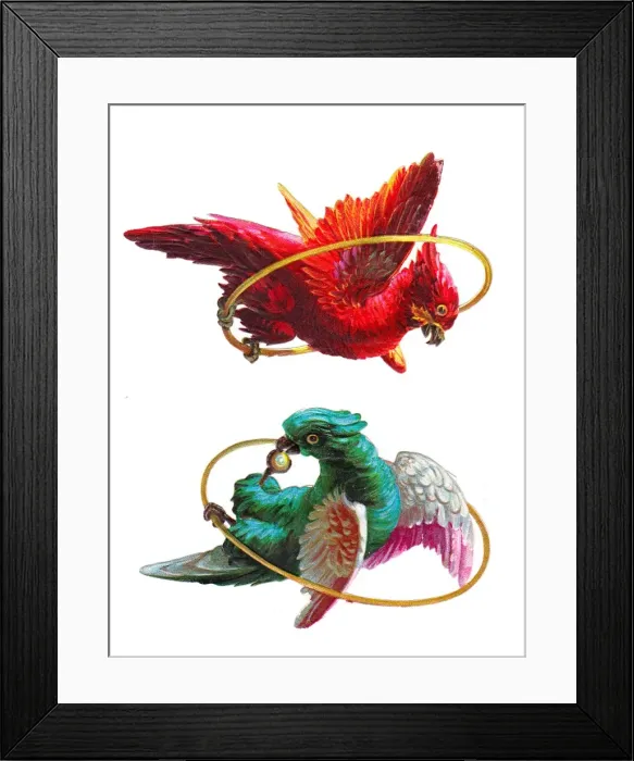 Framed Print : Colourful parrots on two Victorian scraps Framed Print : Colourful parrots on two Victorian scraps
