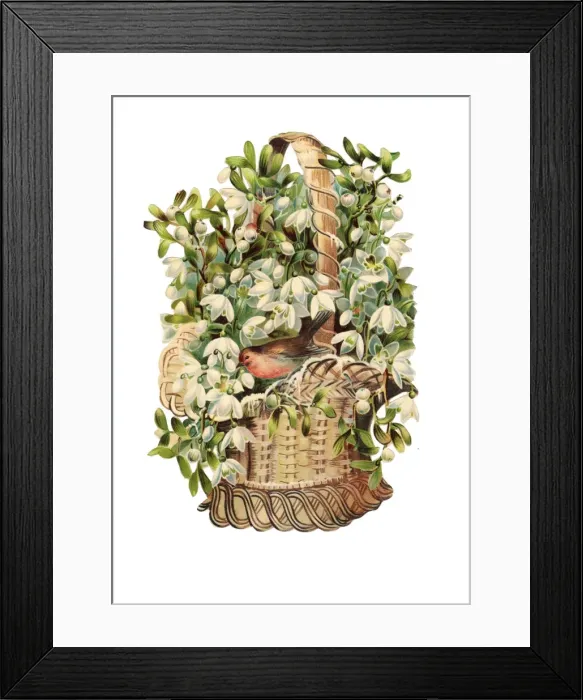 Framed Print : Robin with snowdrops on a Victorian Christmas scrap Framed Print : Robin with snowdrops on a Victorian Christmas scrap
