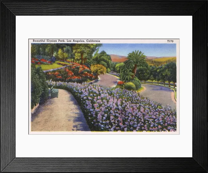 Framed Print : Elysian Park, Los Angeles, California, USA Framed Print : Elysian Park, Los Angeles, California, USA