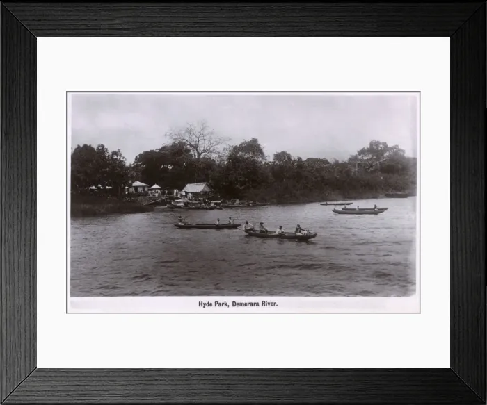 Framed Print : Hyde Park, Demerara River, Guyana, South America Framed Print : Hyde Park, Demerara River, Guyana, South America