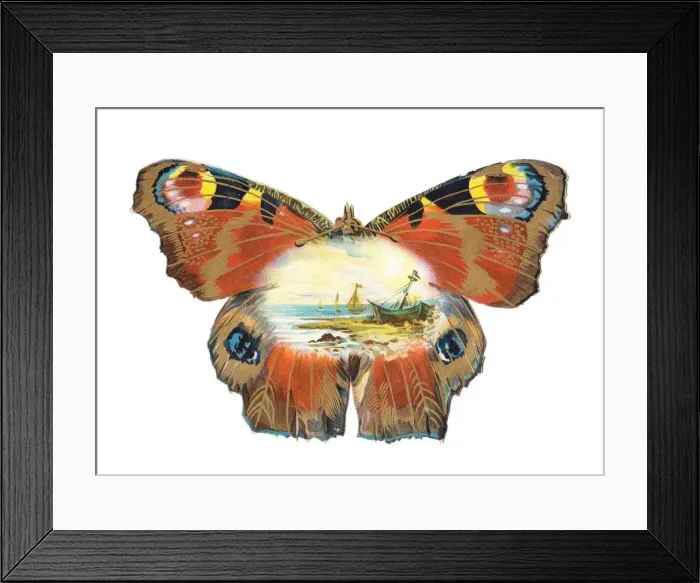 Framed Print : Greetings card in the shape of a butterfly Framed Print : Greetings card in the shape of a butterfly