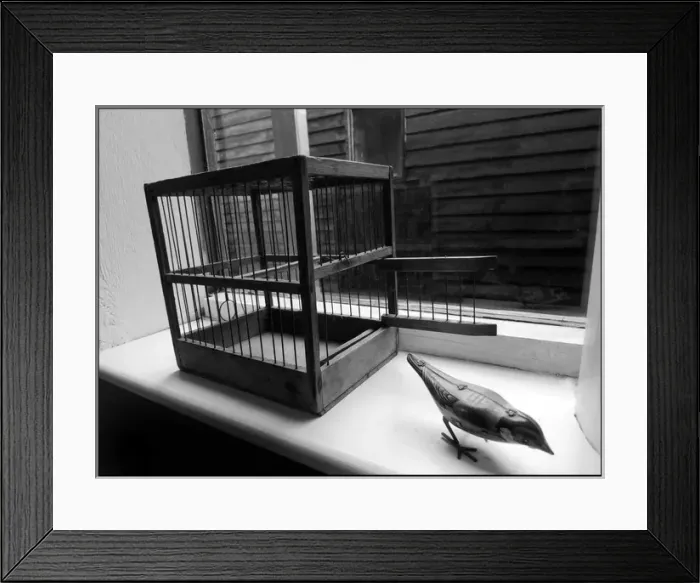 Framed Print : Old birdcage with toy tin bird windowsill Framed Print : Old birdcage with toy tin bird windowsill