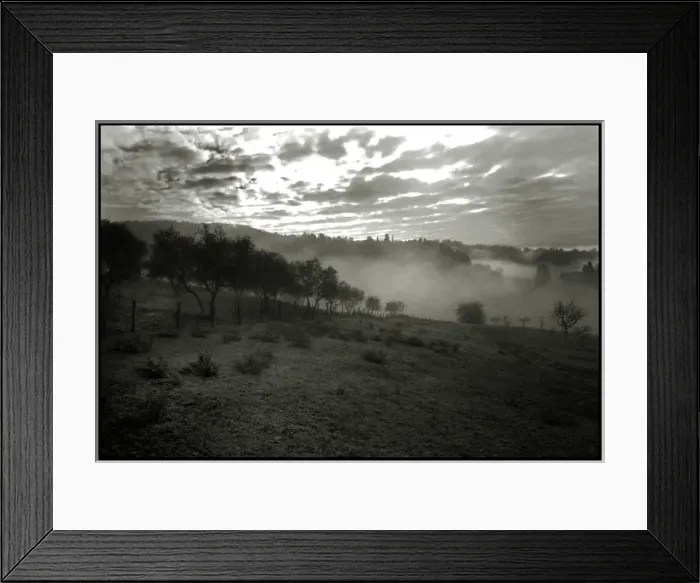 Framed Print : Tuscan landscape olive trees mist frost Framed Print : Tuscan landscape olive trees mist frost