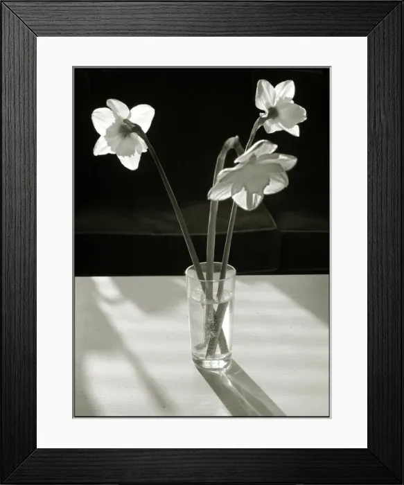 Framed Print : Flowers on table daffodils Framed Print : Flowers on table daffodils