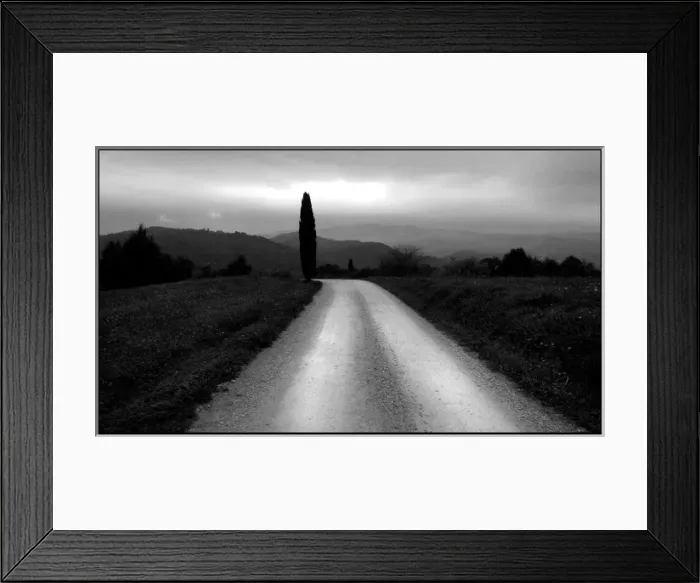 Framed Print : Country road with cypress tree Tuscany Framed Print : Country road with cypress tree Tuscany