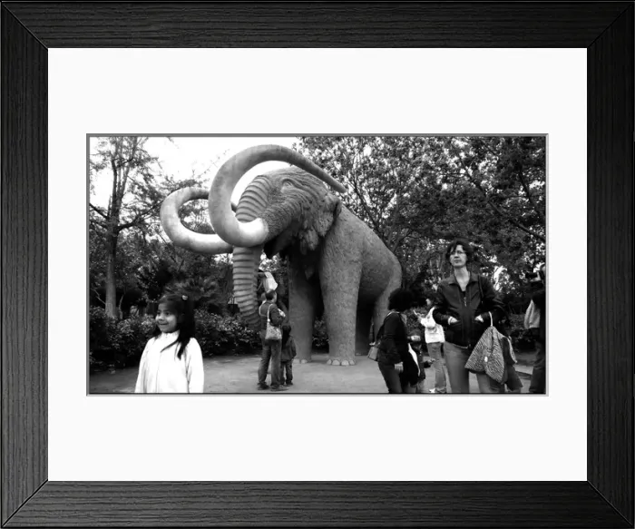 Framed Print : Park in Barcelona Framed Print : Park in Barcelona
