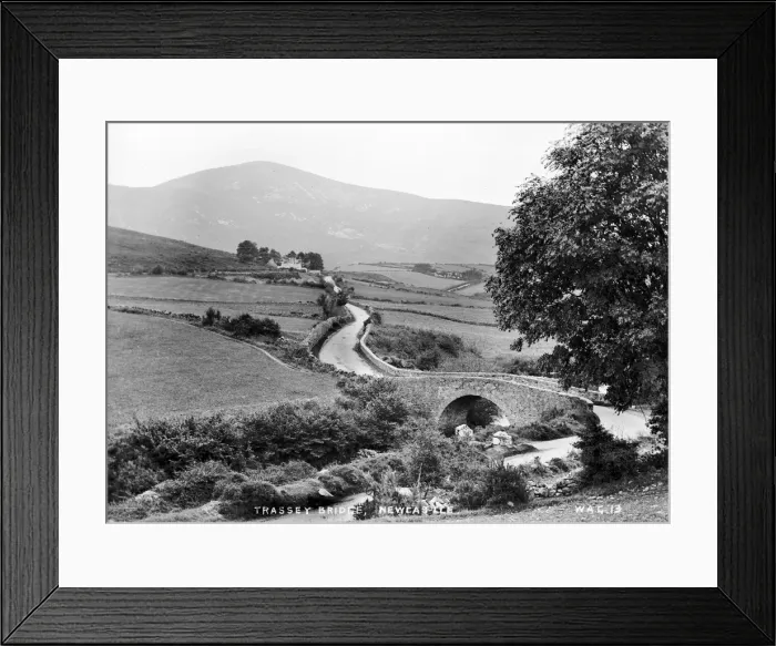 Framed Print : Trassey Bridge, Newcastle Framed Print : Trassey Bridge, Newcastle