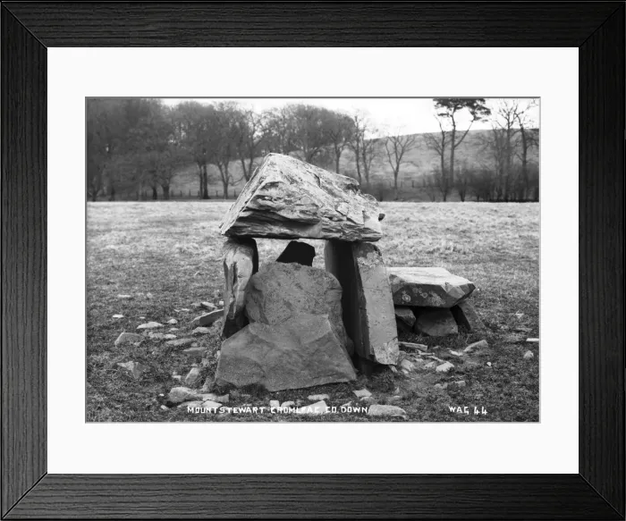 Framed Print : Mountstewart Cromlech, Co Down Framed Print : Mountstewart Cromlech, Co Down