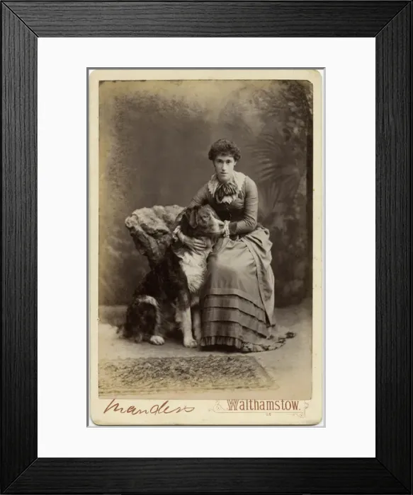 Framed Print : Studio portrait, young woman with large dog Framed Print : Studio portrait, young woman with large dog