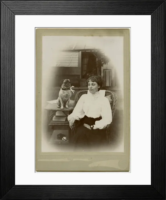 Framed Print : Woman with a pug dog in a garden Framed Print : Woman with a pug dog in a garden