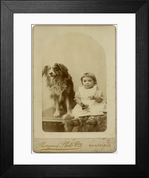 Framed Print : Studio portrait, boy with dog Framed Print : Studio portrait, boy with dog