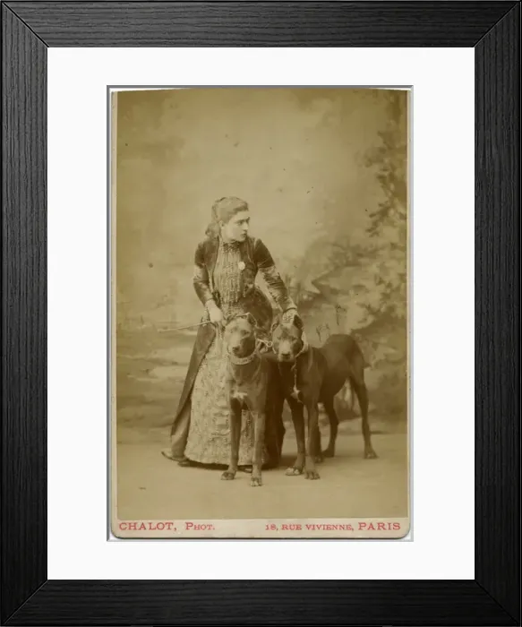 Framed Print : Studio portrait, young woman with two dogs Framed Print : Studio portrait, young woman with two dogs