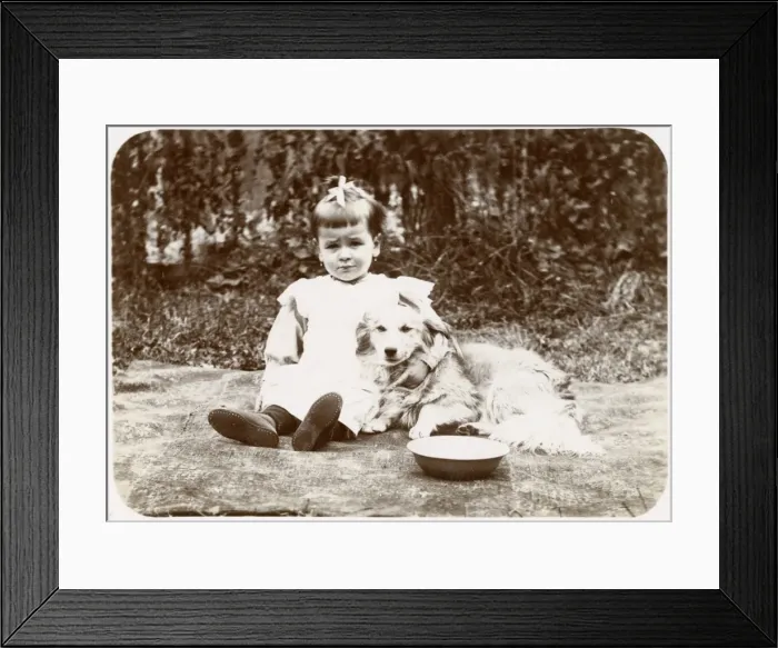 Framed Print : Little girl with a dog in a garden, Normandy, France Framed Print : Little girl with a dog in a garden, Normandy, France