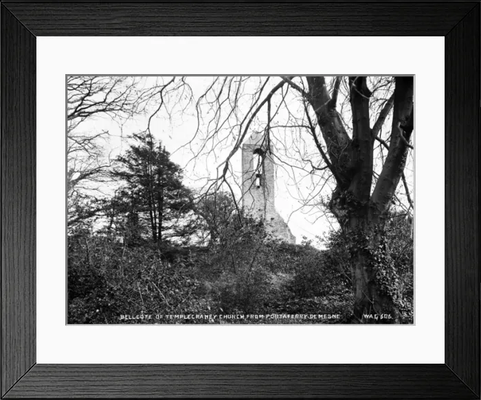 Framed Print : Bellcote of Templecraney Church from Portaferry Demesne Framed Print : Bellcote of Templecraney Church from Portaferry Demesne