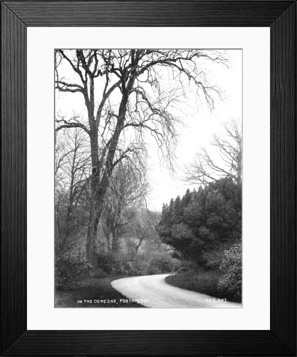 Framed Print : In the Demesne, Portaferry Framed Print : In the Demesne, Portaferry