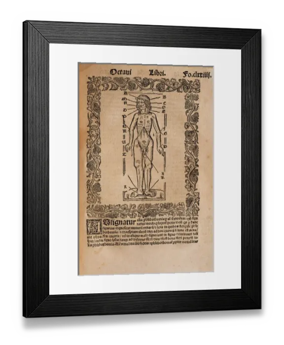 Framed Print : Practica Compendiosa Artis Raymundi Lulli, book eighth, 1523 Framed Print : Practica Compendiosa Artis Raymundi Lulli, book eighth, 1523