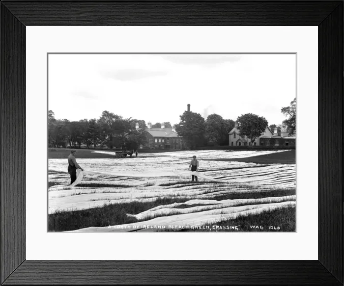 Framed Print : A North of Ireland Bleach Green, Grassing Framed Print : A North of Ireland Bleach Green, Grassing