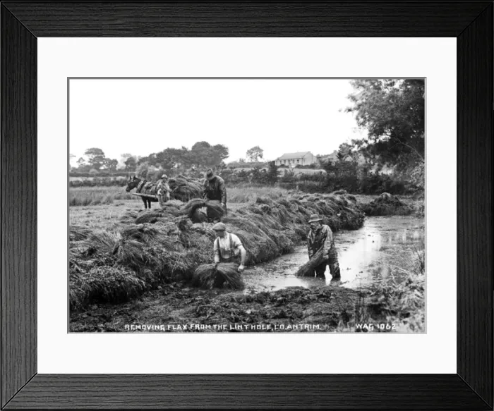 Framed Print : Removing Flax from the Lint Hole, Co. Antrim Framed Print : Removing Flax from the Lint Hole, Co. Antrim