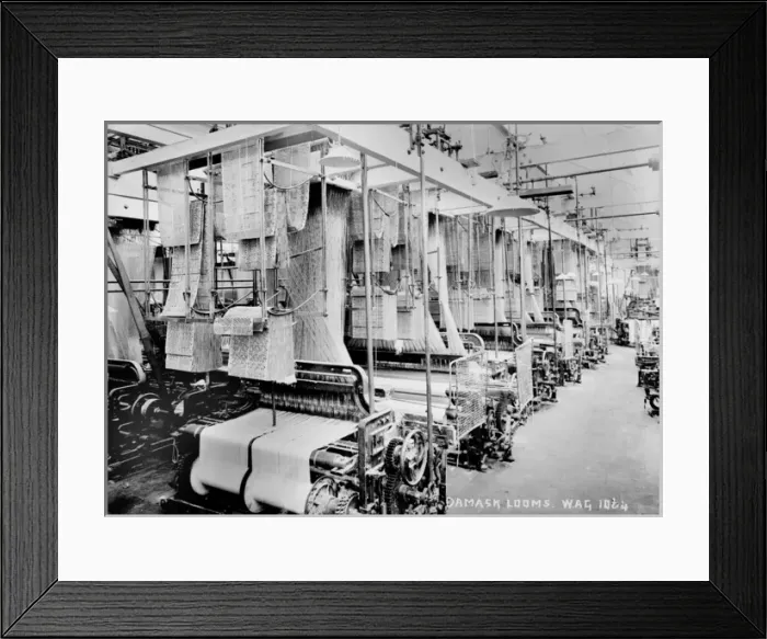 Framed Print : Damask Looms Framed Print : Damask Looms
