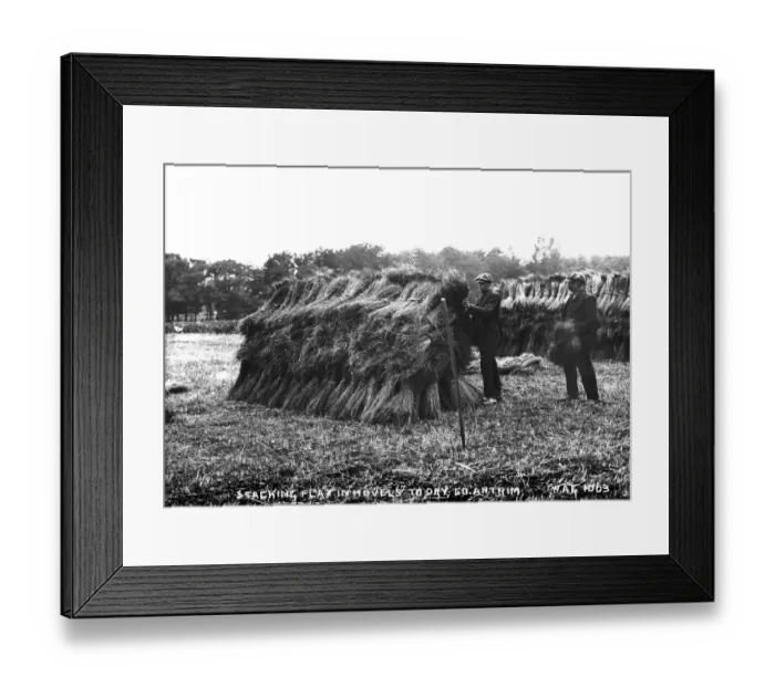 Framed Print : Stacking Flax in Hovels to Dry, Co. Antrim Framed Print : Stacking Flax in Hovels to Dry, Co. Antrim