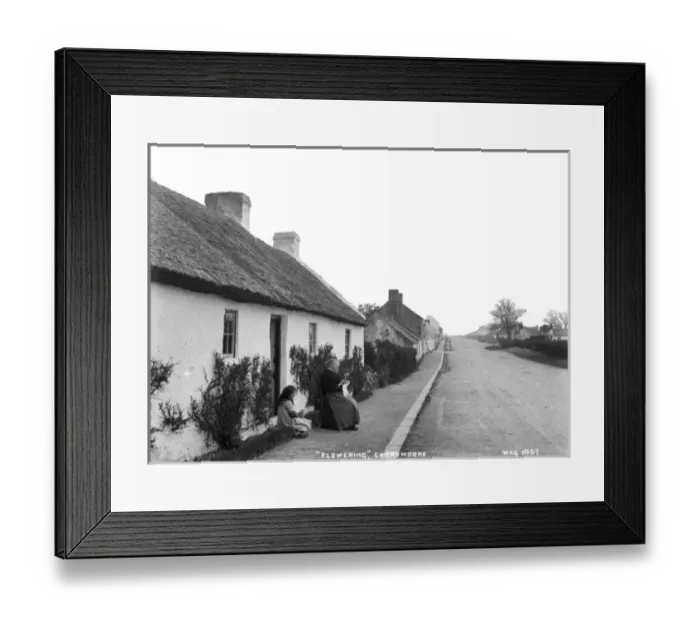 Framed Print : Flowering, Carrowdore Framed Print : Flowering, Carrowdore