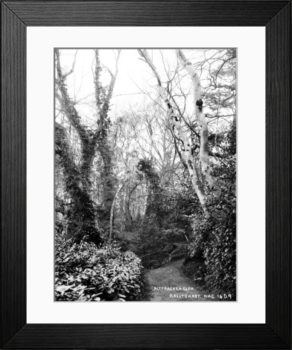Framed Print : Altfracken Glen, Ballycarry Framed Print : Altfracken Glen, Ballycarry