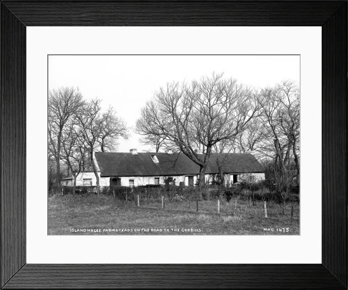 Framed Print : Islandmagee Farmsteads on the Road to the Gobbins Framed Print : Islandmagee Farmsteads on the Road to the Gobbins