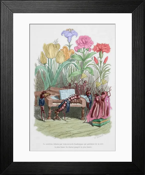 Framed Print : Caricature of The private and public life of animals, by J. J Framed Print : Caricature of The private and public life of animals, by J. J
