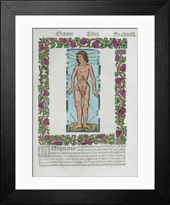 Framed Print : Practica Compendiosa Artis Raymundi Lulli, book eighth, 1523 Framed Print : Practica Compendiosa Artis Raymundi Lulli, book eighth, 1523