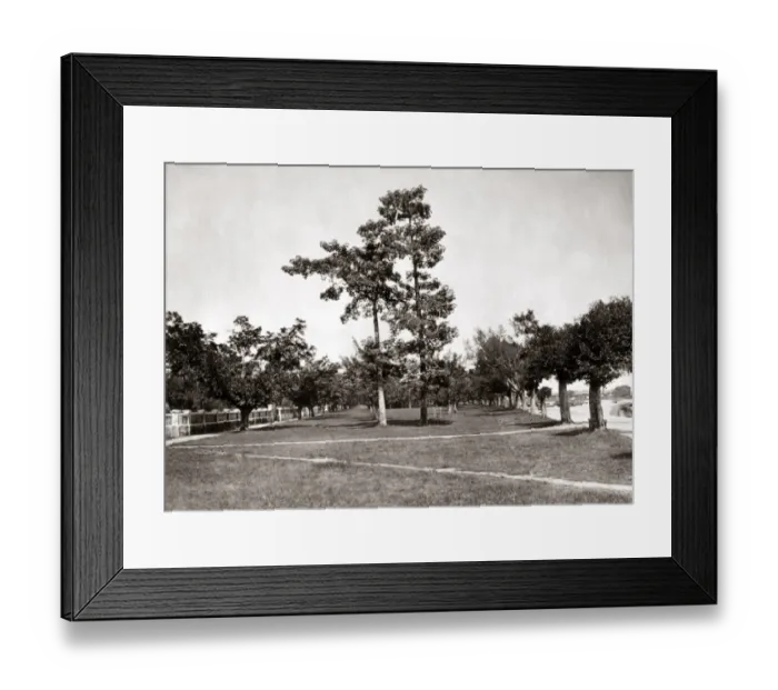 Framed Print : Shameen, Canton, China circa 1880s Framed Print : Shameen, Canton, China circa 1880s