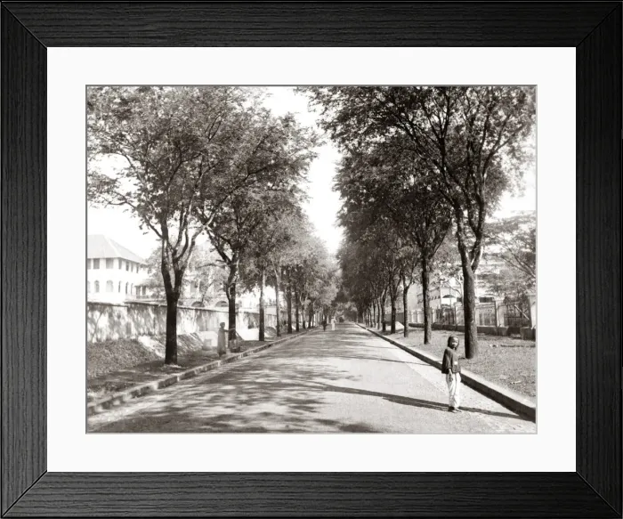 Framed Print : Rue Nationale, Siagon, Indo-China, Vietnam, circa 1890