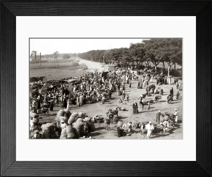 Framed Print : Great market, Kasr-el-Nil, Egypt, circa 1880s Framed Print : Great market, Kasr-el-Nil, Egypt, circa 1880s