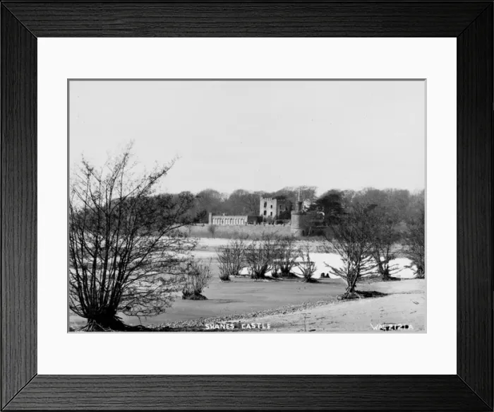 Framed Print : Shanes Castle Framed Print : Shanes Castle