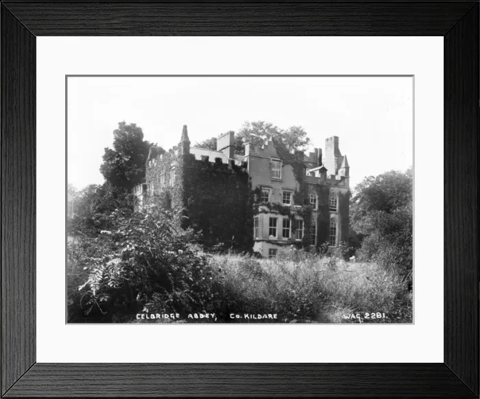 Framed Print : Celbridge Abbey, Co. Kildare Framed Print : Celbridge Abbey, Co. Kildare