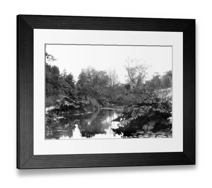 Framed Print : The Lake, Phoenix Park, Dublin Framed Print : The Lake, Phoenix Park, Dublin