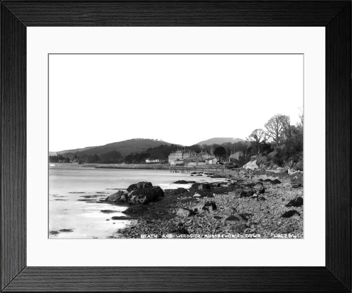 Framed Print : Beach and Woodside, Rostrevor, Co. Down Framed Print : Beach and Woodside, Rostrevor, Co. Down