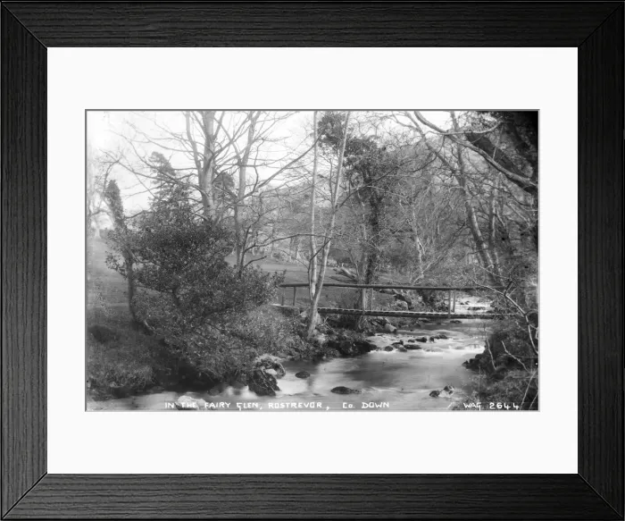 Framed Print : In the Fairy Glen, Rostrevor, Co. Down Framed Print : In the Fairy Glen, Rostrevor, Co. Down